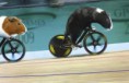 /album/olympics/cycleingpigs1-jpg/